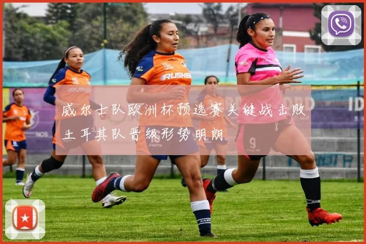 威尔士队欧洲杯预选赛关键战击败土耳其队晋级形势明朗