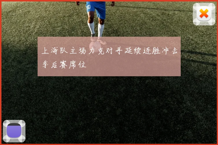 上海队主场力克对手延续连胜冲击季后赛席位