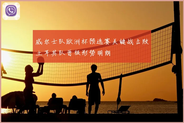 威尔士队欧洲杯预选赛关键战击败土耳其队晋级形势明朗