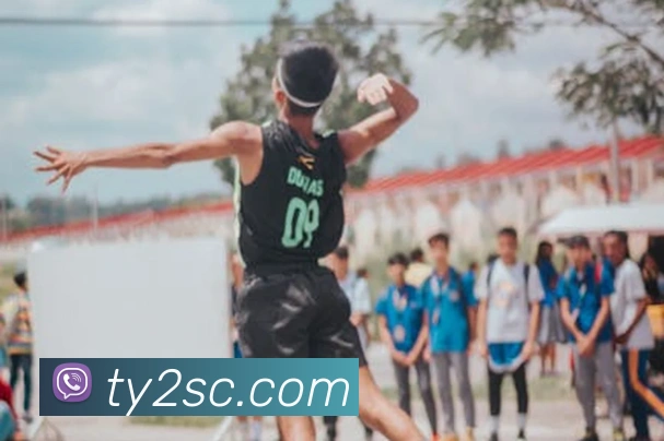 App Interface Preview